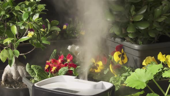 Water mist stream  cold Smart house Automatic Technology Watering plants.