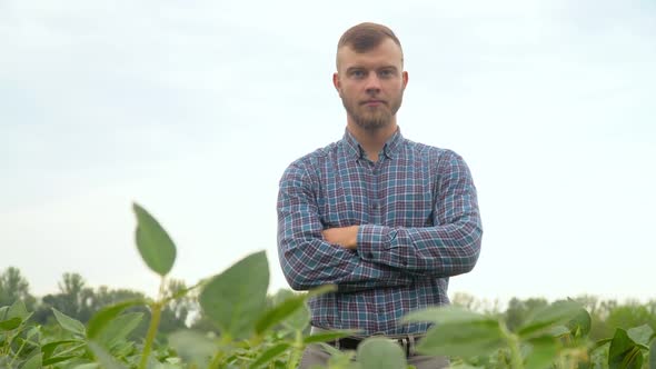 Farmer Looking at Camera on Soybean Field. Concept Ecology, Bio Product, Inspection, Natural