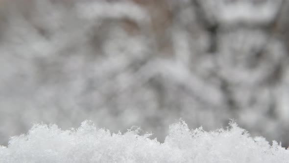 White Snow Flakes Falling in Winter Snowflakes of Wintry Christmas Snowfall