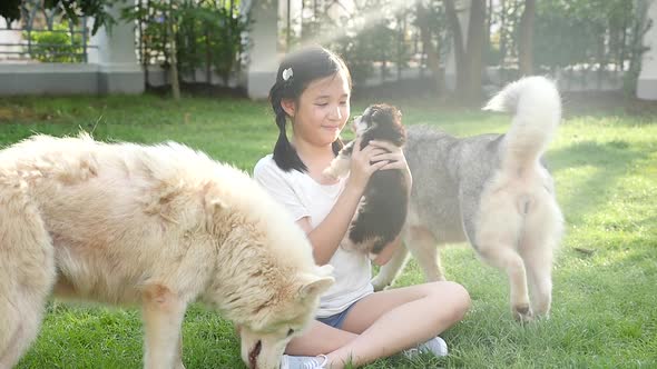 Happy Asian Children Playing With Siberian Husky Dog In The Garden Slow Motion