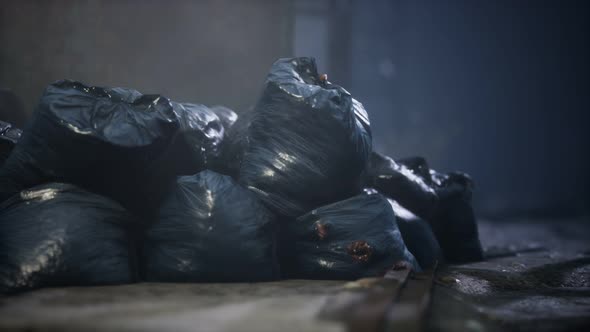 Garbage Bags at City Street an Night alt