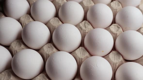 Chicken Eggs In Turn Top View