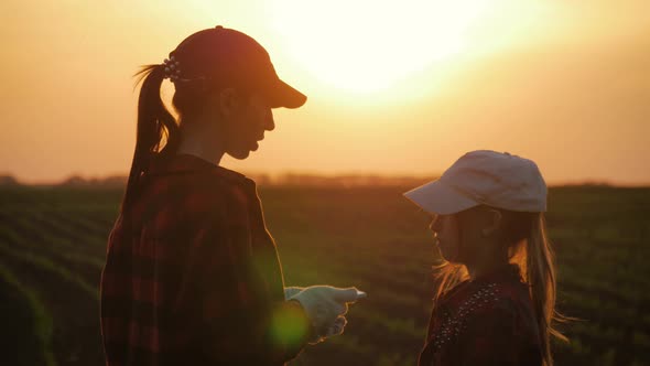 Young Mother Farmer Teaches Her Daughter To Work in a Wheat Field. Silhouette of a Farmers Family in