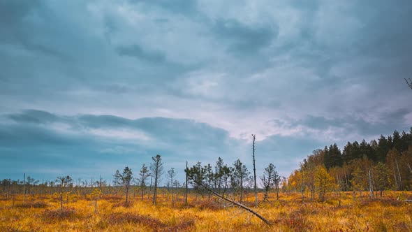 Berezinsky Biosphere Reserve Belarus