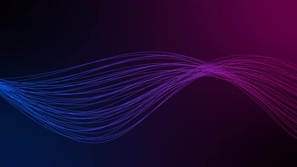 Blue Pink Line Wave Motion Animated Background