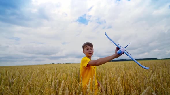 Boy with airplane toy. Happy cute boy with plane toy on wheat field