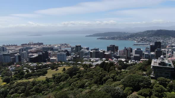 Viaduct Harbour, Auckland New Zealand