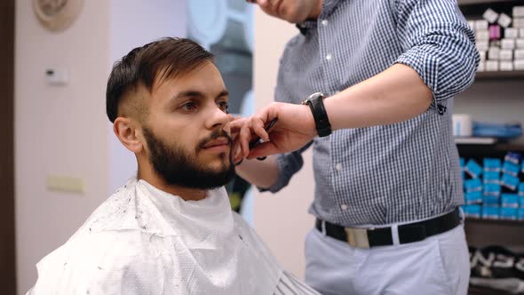 Stylish Man Sitting Barber Shop Hairstylist Hairdresser Woman Cutting His Hair Portrait.