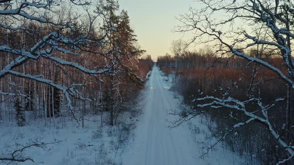 Flight Above Road