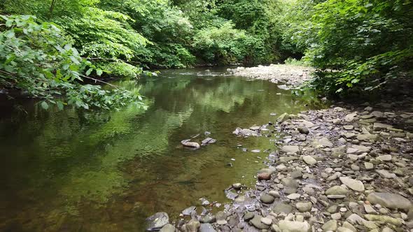 Woodland river scene filmed in the Derbishire Peak District Drone footage forward moving through tre