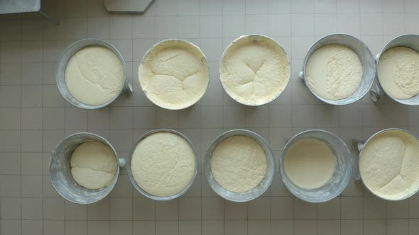 Closeup Video of Yeast Dough in Production.