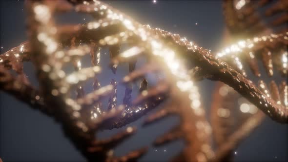 Double Helical Structure of Dna Strand Close-up Animation alt