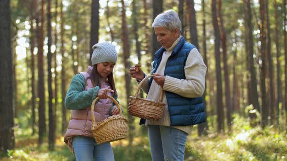 Grandmother and Granddaughter Picking Mushrooms