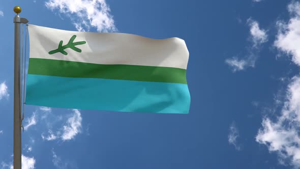 Labrador Flag (Canada) On Flagpole