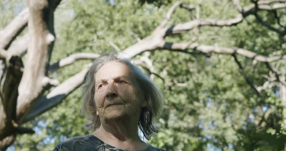 Portrait of an Elderly Woman Against an Old Oak Tree