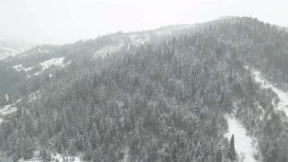 Snow falling over winter landscape and forest. DRONE.