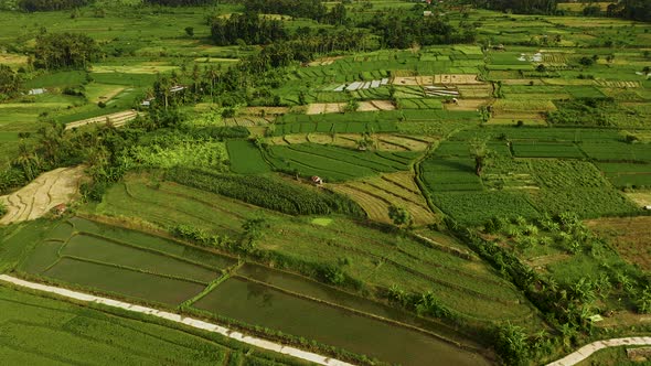 Aerial View of Rice Fields and Villages Near Mount Agung