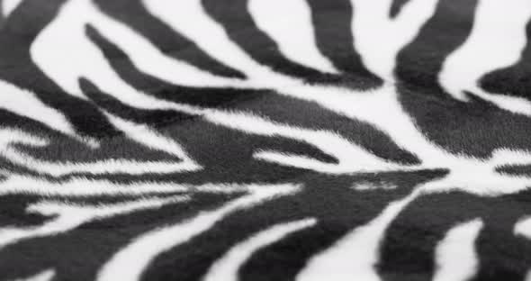 Zebra Fur Fabric Closeup