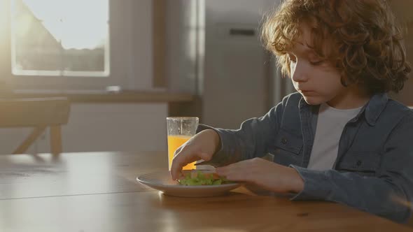 Little Boy Drinking Orange Juice and Eating Sandwich at Breakfast on a Sunny Day