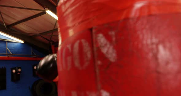 Boxer practicing boxing with punching bag