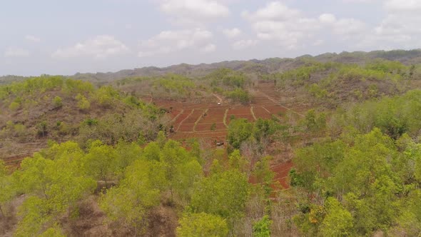 Agricultural Landscape in Asia alt