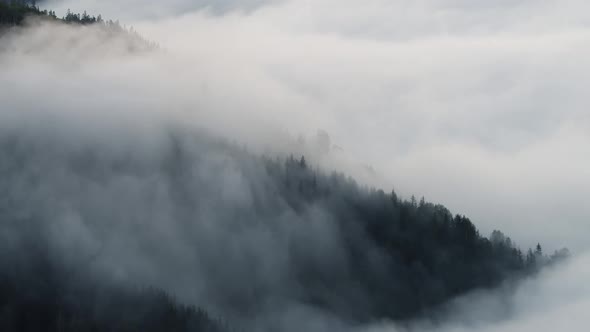 Morning Fog in the Forest, Natural Beautiful Nature Landscape in Mountain, Background