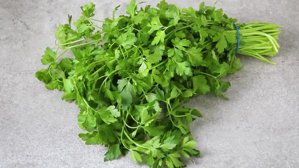 Fresh bunch of healthy raw green parsley close up 