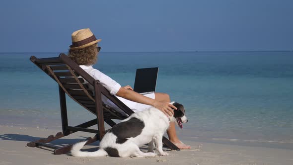 Business Woman Working With Laptop Sitting On Deckchair With Dog On Beach