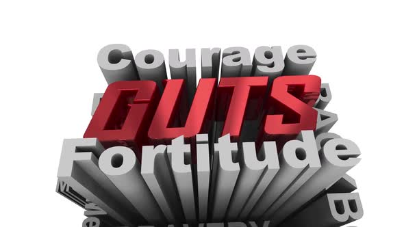 Guts Courage Bravery Mettle Fearless Qualities Words 3d Animation