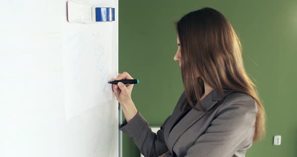 Beautiful Young Business Woman Performs Financial Calculations on Presentation Whiteboard. Working
