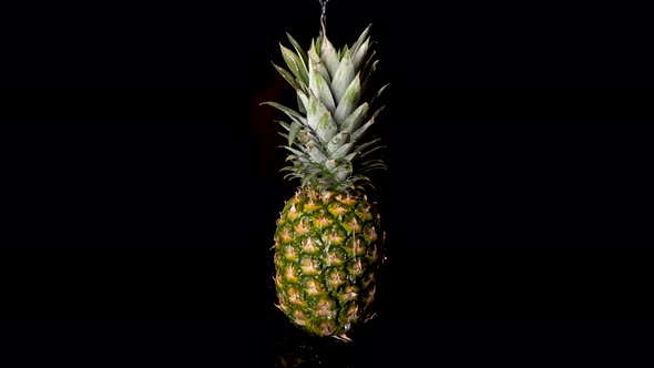 Temptatious Juicy Pineapple Dripping with Water - Fruit Concept with Black Background