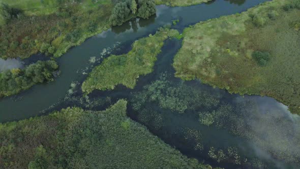 Park area. A winding river with water lilies. Swampy area. Aerial photography.