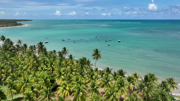 Northeast Brazil. Sao Miguel dos Milagres Beach at Alagoas Brazil.