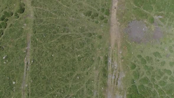 Wide aerial birdseye shot tracking forward slowly over a gradually worn grassland track. Wild and ru