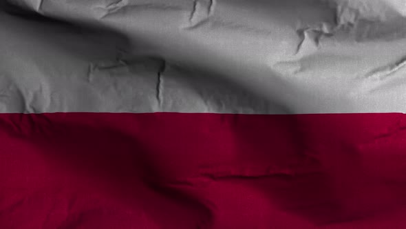 Poland Flag Textured Waving Background 4K