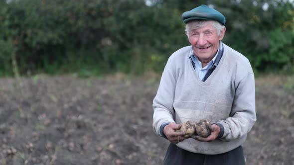 Elderly Farmer Holding Fresh Potatoes