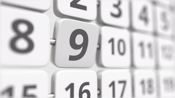 9 Date on the Turning Calendar Plate alt