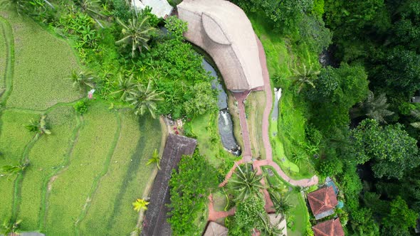 bamboo home in a rice field with coconut trees in the jungles of Ubud Bali Indonesia, aerial top dow