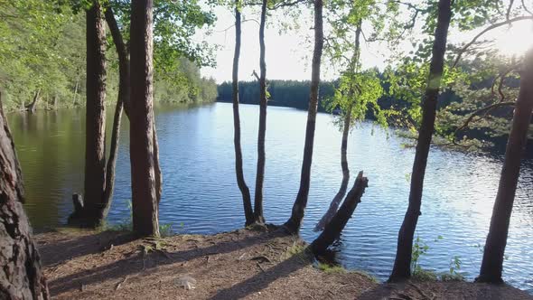 Landscape View of the Nature Reserve in Espoo Finland