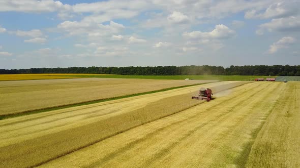 Combine Harvester Working