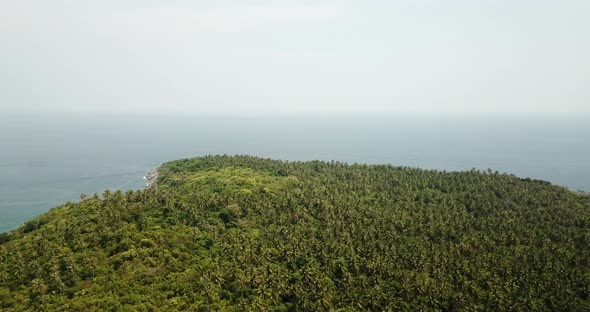 Green Palm Trees and Fields of Racha Island