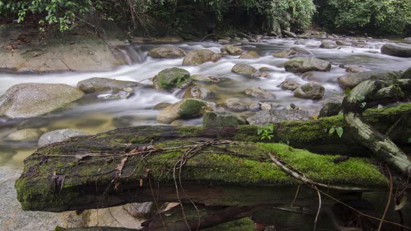 Slow motion river stream at Sungai Sedim Kulim, Kedah, Malaysia.