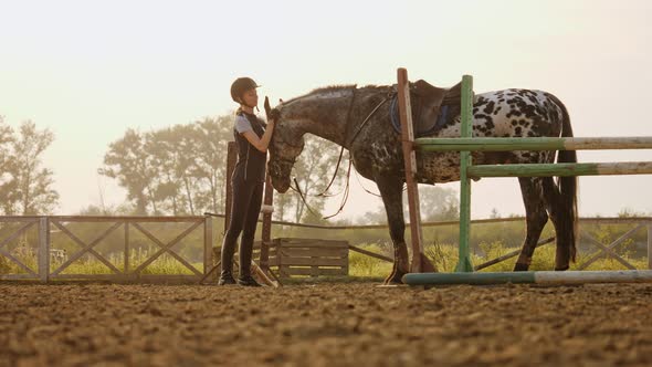 Jockey Girl Is Stroking a Horse on Open Manege, Slow Motion