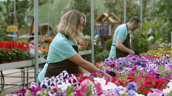 Couple of Florists Wearing Aprons Examining Potted Flowers