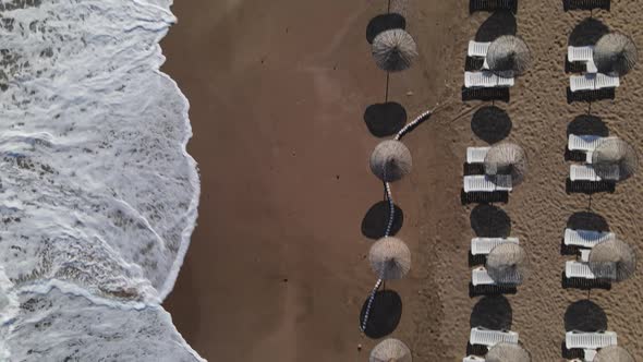 Beach Umbrellas