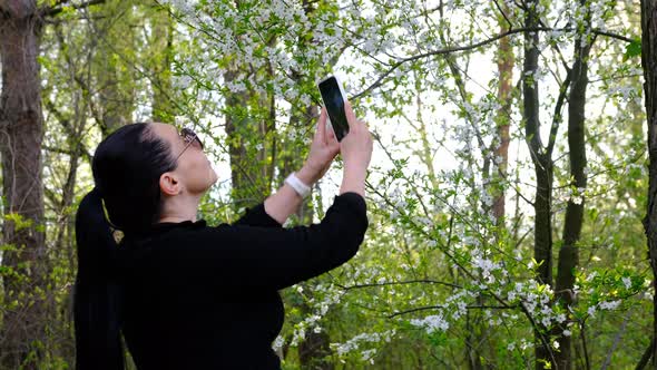 A woman is making a photo of a blossoming tree on the phone. spring fruit trees with wonderful flowe