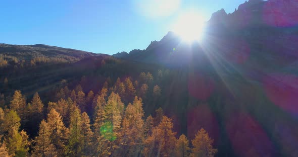 Backward Aerial Over Alpine Mountain Valley and Orange Larch Forest Woods in Sunny Autumn