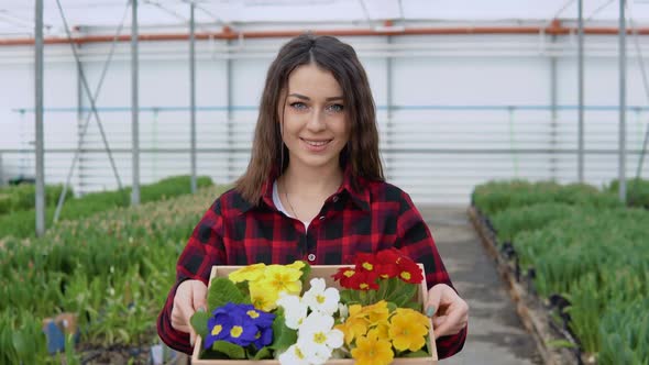Professional Florist or Nerd Holds and Presents a Craft Box with 5 Pots of Colorful Flowers