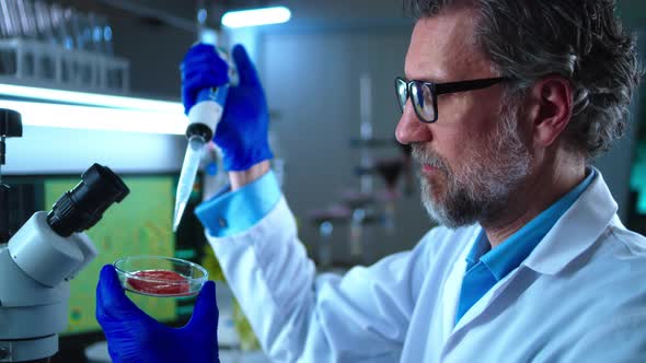 Mature Scientist Examining Tomato Under Microscope