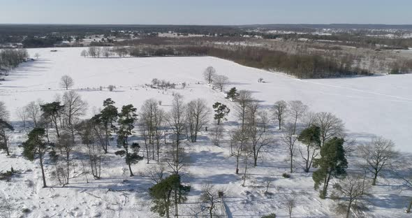 Aerial view of snow in forest of De Borkeld, Markelo, Overijssel, Netherlands.